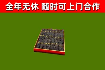 磐安回收海参